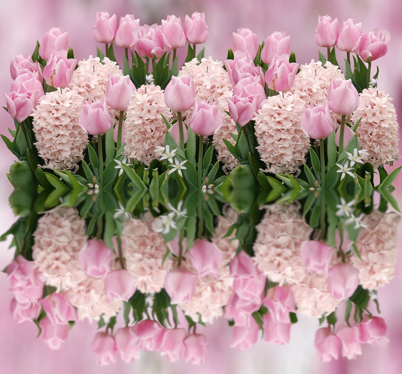 5 Easy-To-Grow Pink Flowers For Your Garden